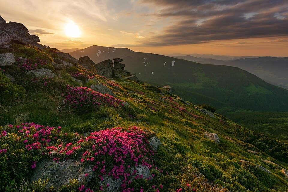 Ukraine